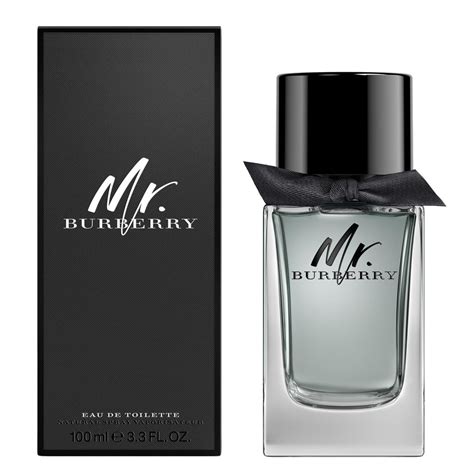 mr burberry the bay|Burberry mr Burberry 100ml.